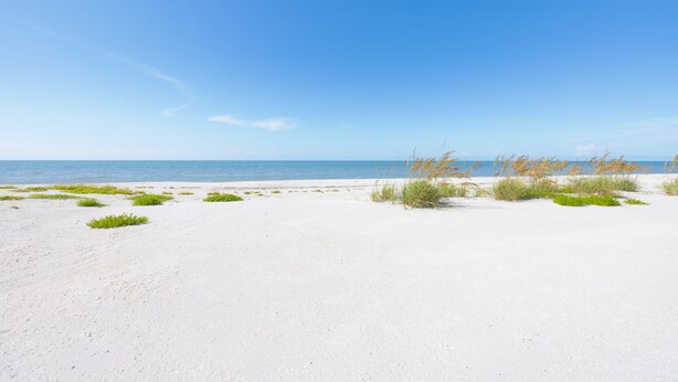 Una playa con arena blanca y vegetación escasa.