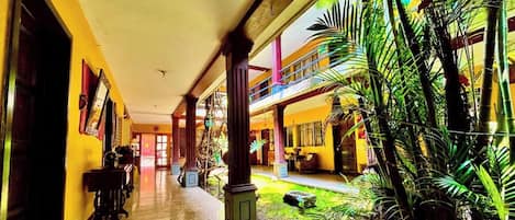 Un pasillo con marquesina, plantas en macetas y vista a un edificio con balcones.