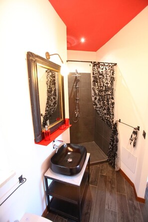 Shower, hair dryer, bidet, towels