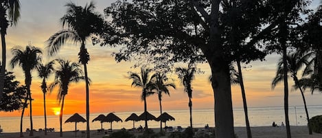 Playa
