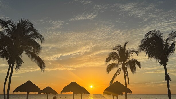 Uma praia com palmeiras, guarda-sóis e espreguiçadeiras.