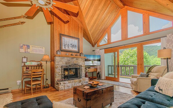 Smart TV, fireplace, books