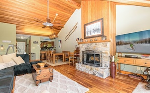 Smart TV, fireplace, books