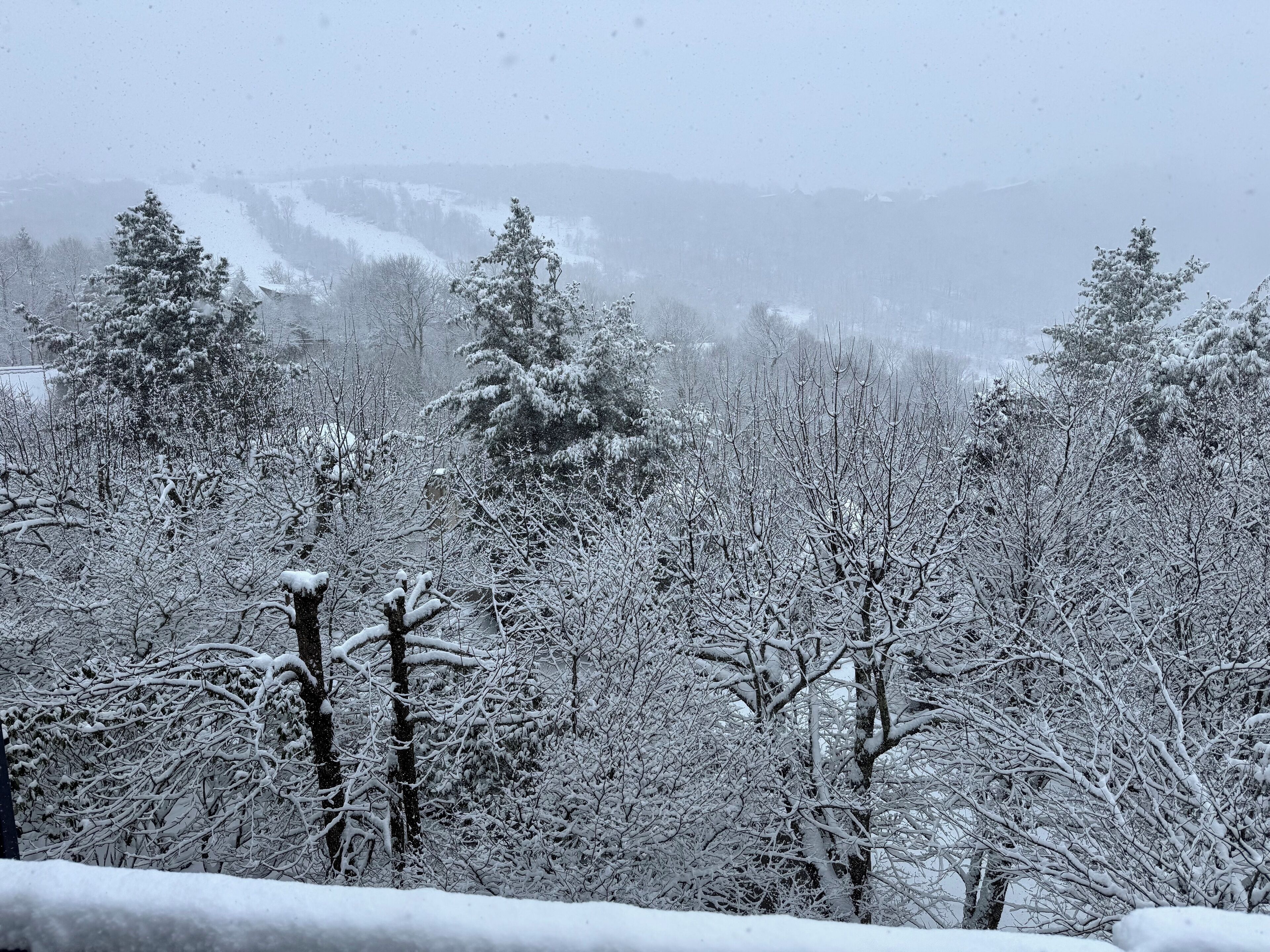 Blick von der Unterkunft