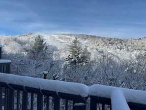 Property grounds - Slope View Chalet: License to Chill - Steps 2 Slopes, AC, Pet Friendly, fire pit (Beech Mountain)