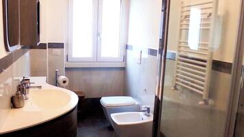 Shower, hair dryer, bidet, towels