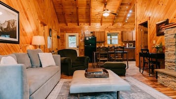 Smart TV, fireplace, DVD player, books
