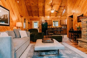 Smart TV, fireplace, DVD player, books
