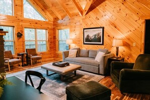 Smart TV, fireplace, DVD player, books