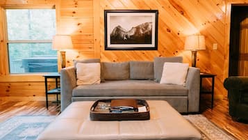 Smart TV, fireplace, DVD player, books