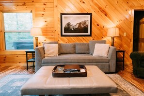 Smart TV, fireplace, DVD player, books