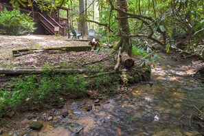Property grounds - Dog-Friendly Creek Cabin | Trail Access, Hot Tub & Fire Pit (Blue Ridge)