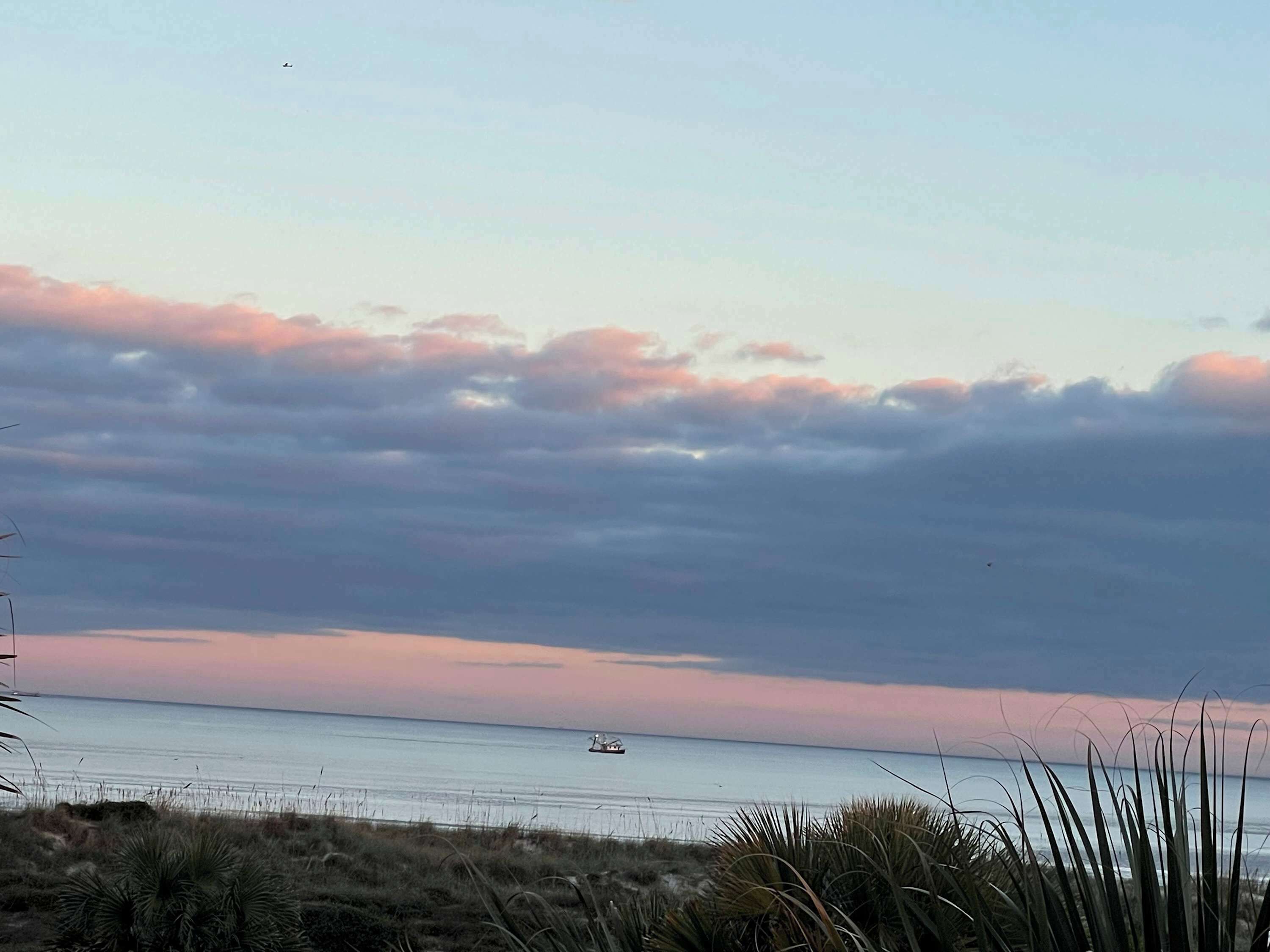 A beach with a boat in the distance, overcast sky, and sparse vegetation.