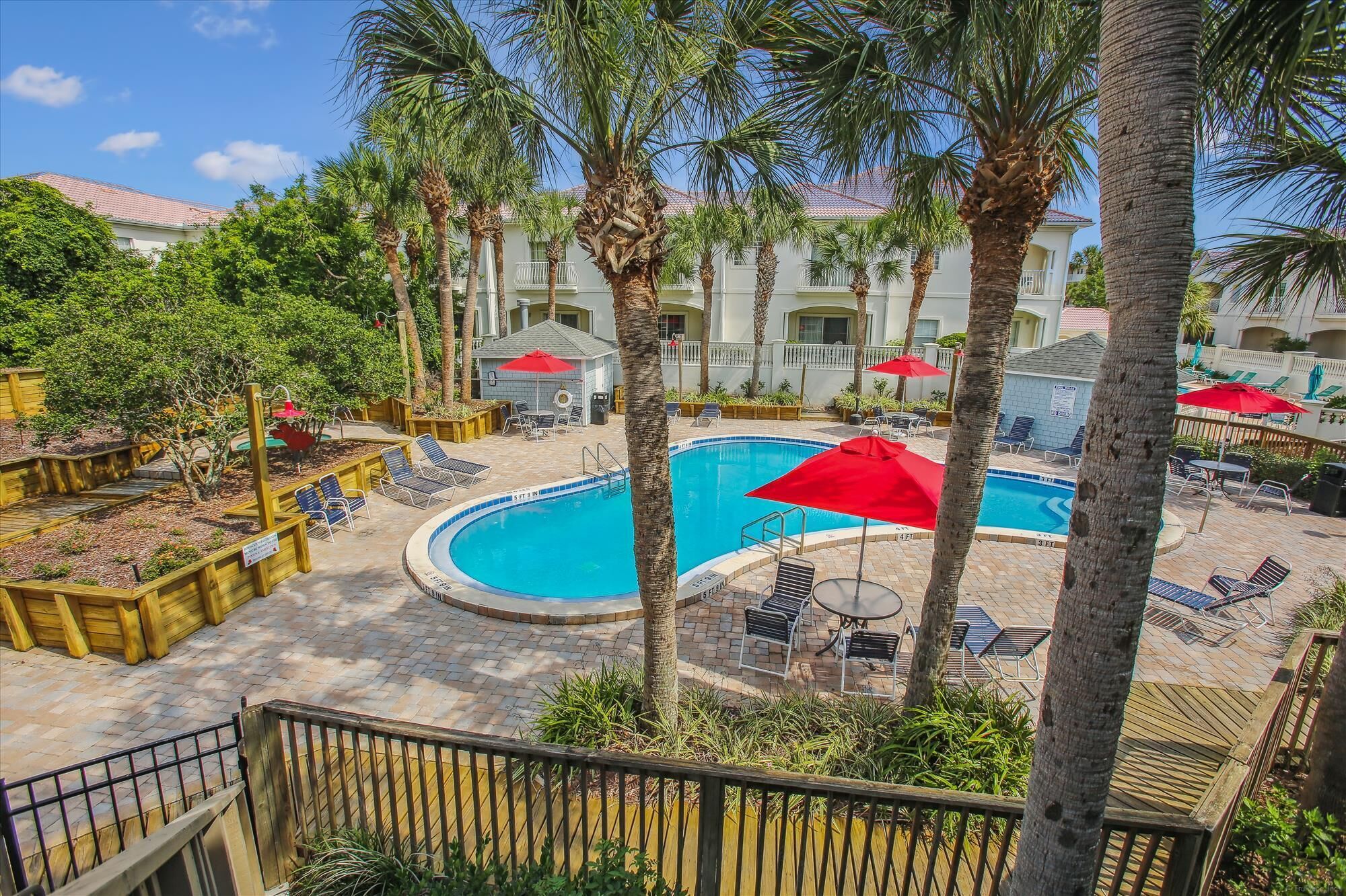 A swimming pool surrounded by palm trees and lounge chairs, with a building in the background.