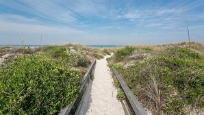 Un sentiero sabbioso costeggiato da una vegetazione verdeggiante che conduce a una spiaggia.