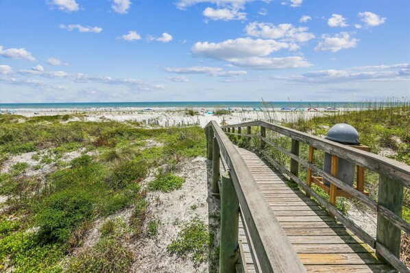 Playa en los alrededores 