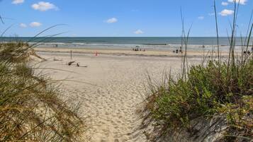 Vlak bij het strand