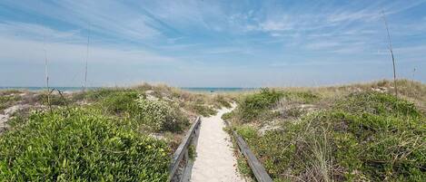 A sandy pathway flanked by dense green vegetation, leading to a beach.