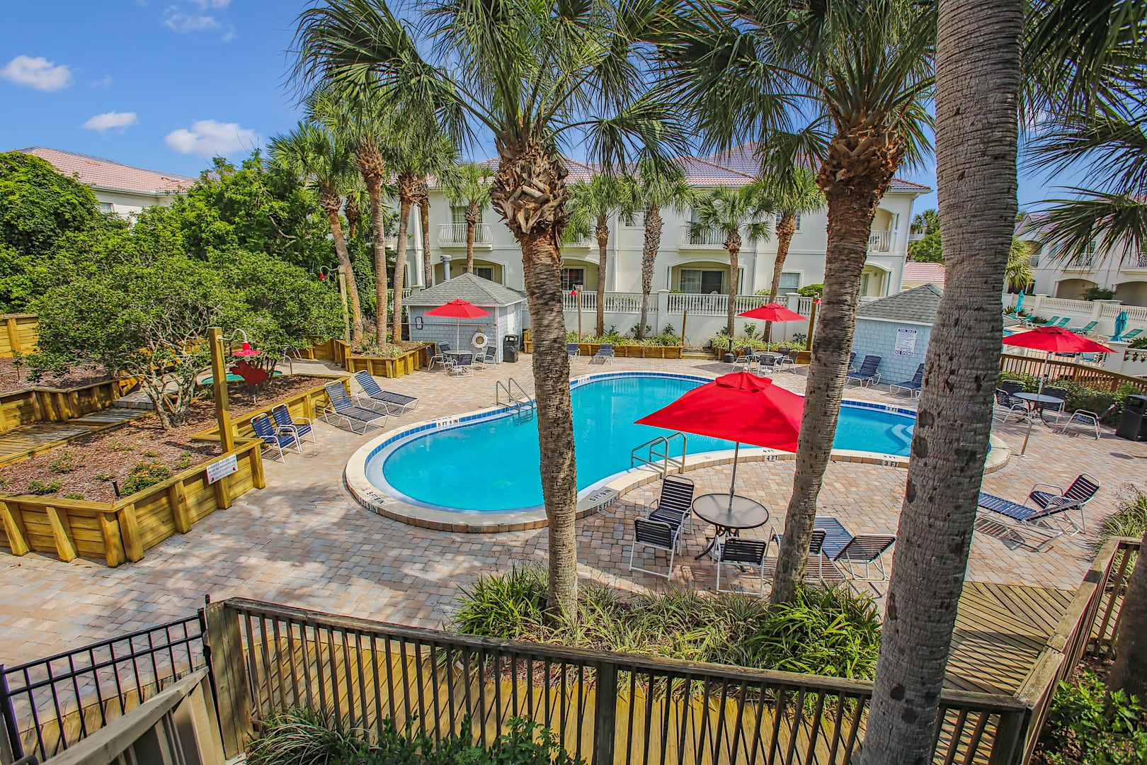 A pool area with lounge chairs, umbrellas, and palm trees.