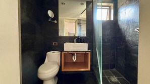 Regadera, secadora de cabello, toallas, papel de baño 