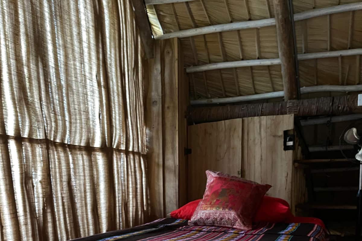 Economy Shared Dormitory