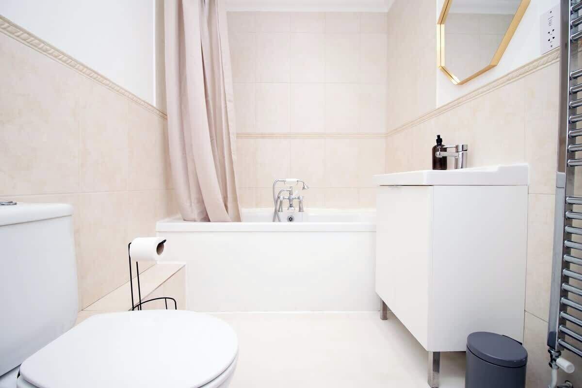 Ducha, secador de pelo y champú