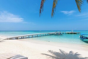 Plage, chaises longues, serviettes de plage