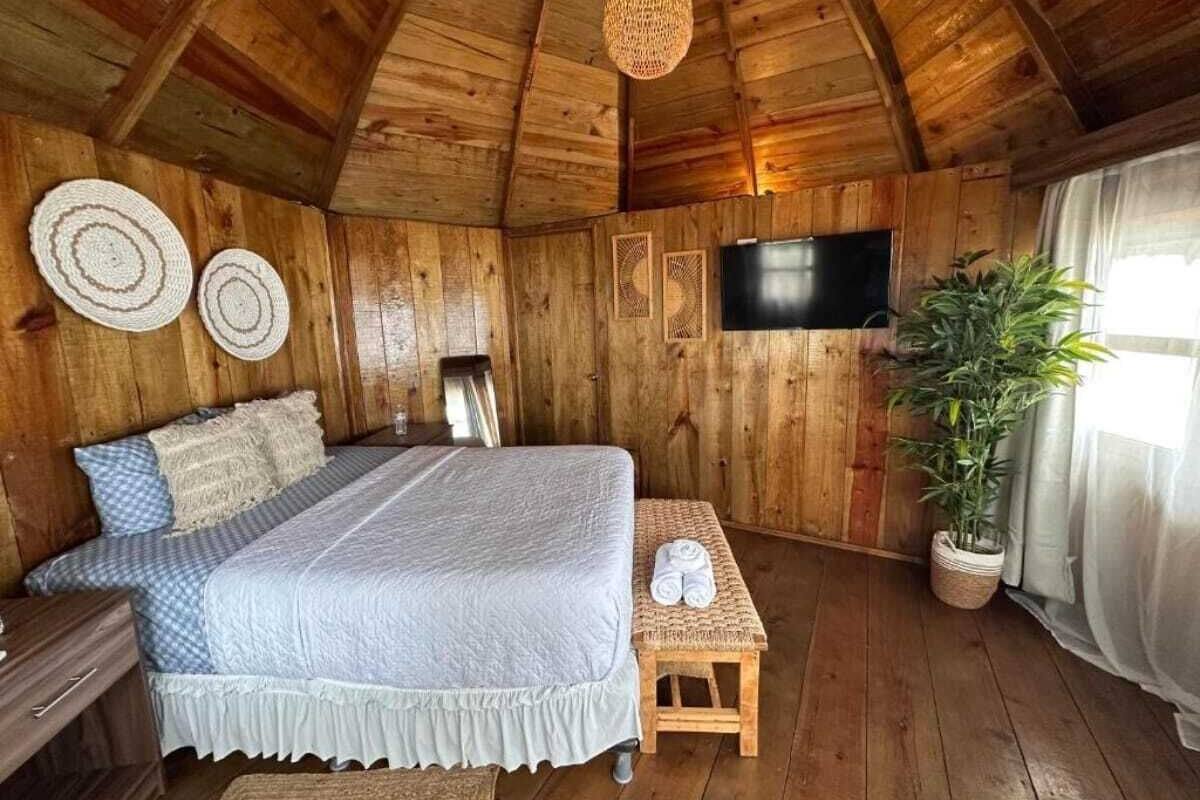 A wooden cabin bedroom with a bed, a bench, a television, and a potted plant.
