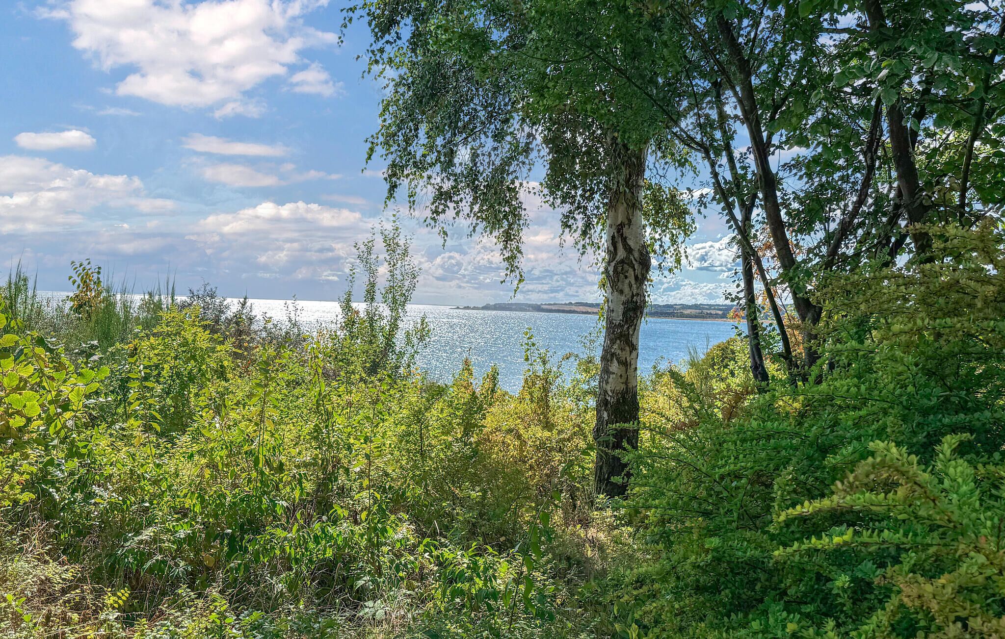 A natural landscape with a body of water, trees, and dense vegetation.