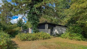 A small, rustic cabin surrounded by dense greenery and trees.