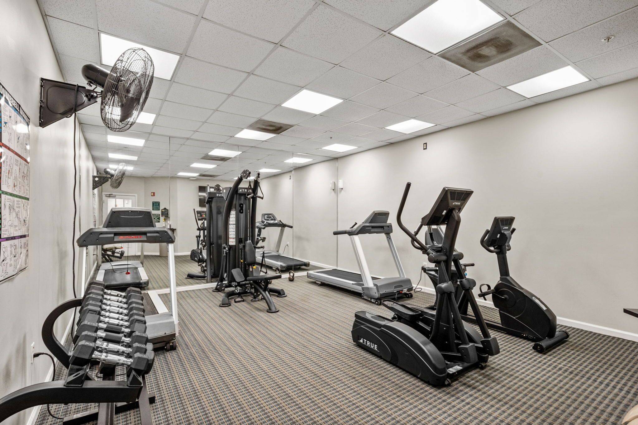 Une salle de sport équipée de tapis de course, de vélos elliptiques et de poids libres.