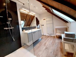 Shower, towels, toilet paper