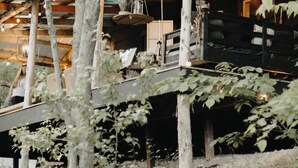 Un chalet rustique doté d’une terrasse en bois, de guirlandes lumineuses et offrant une vue sur la forêt environnante.