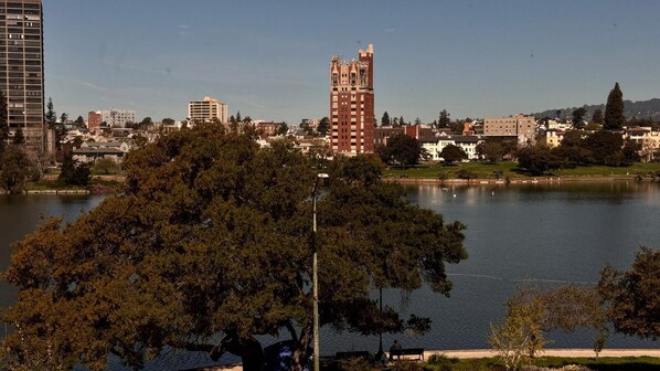 Un lago con un parque y edificios al fondo.