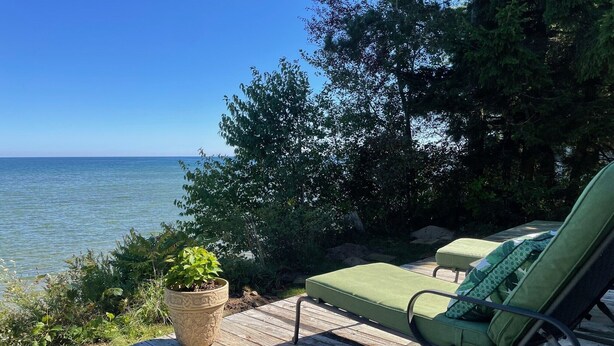 A wooden deck with a lounge chair and a potted plant.