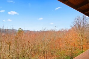 الإطلالة من المنشأة