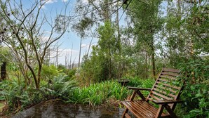 A wooden bench in a natural setting with dense foliage and a clear sky. - Blackheath Breeze Cottage - Nature Escape (Blackheath)