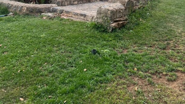 A single-story brick house with a covered porch, a stone retaining wall, and a grassy yard. - Villa De Anna (St.-Rémy-de-Provence)