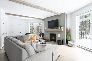 Smart TV, fireplace, video games, DVD player