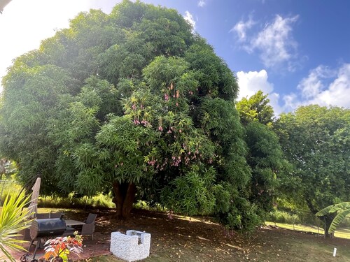 Indulge in the ultimate Caribbean escape