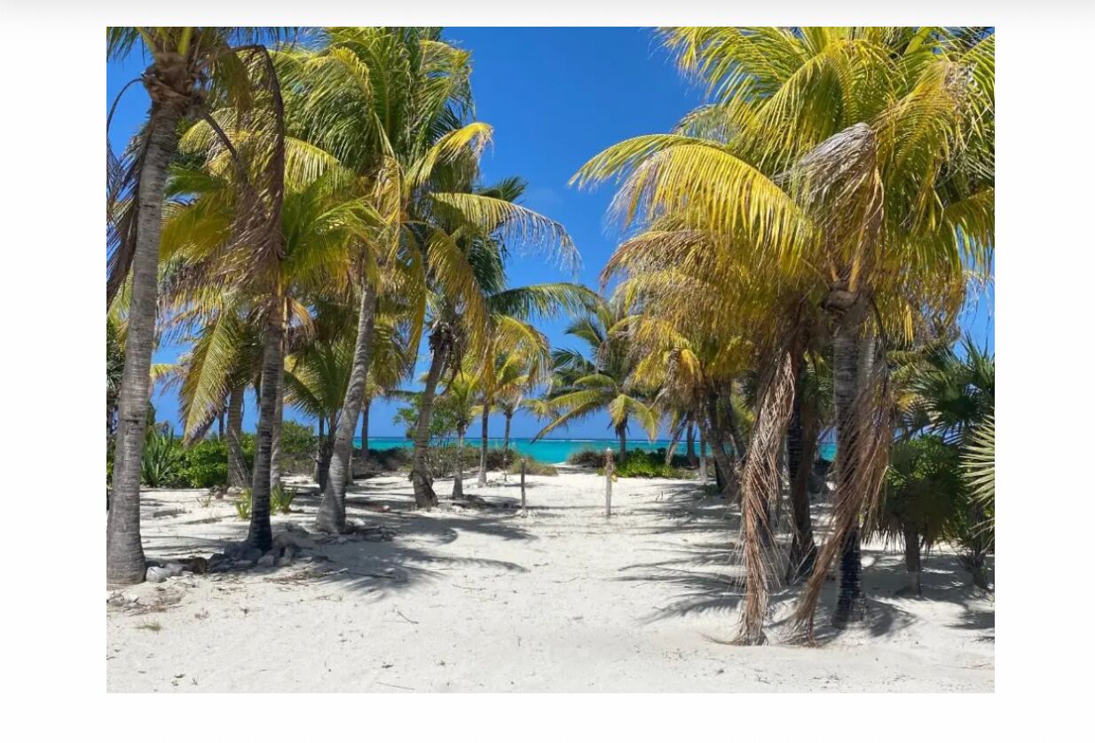 Una spiaggia nelle vicinanze