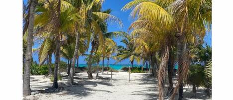Una spiaggia nelle vicinanze