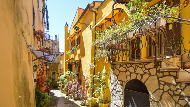 A narrow alley with yellow buildings, stone walls, and potted plants. - Awesome home in Venafro with WiFi (Venafro)