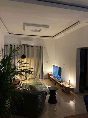 Smart-TV, Kamin