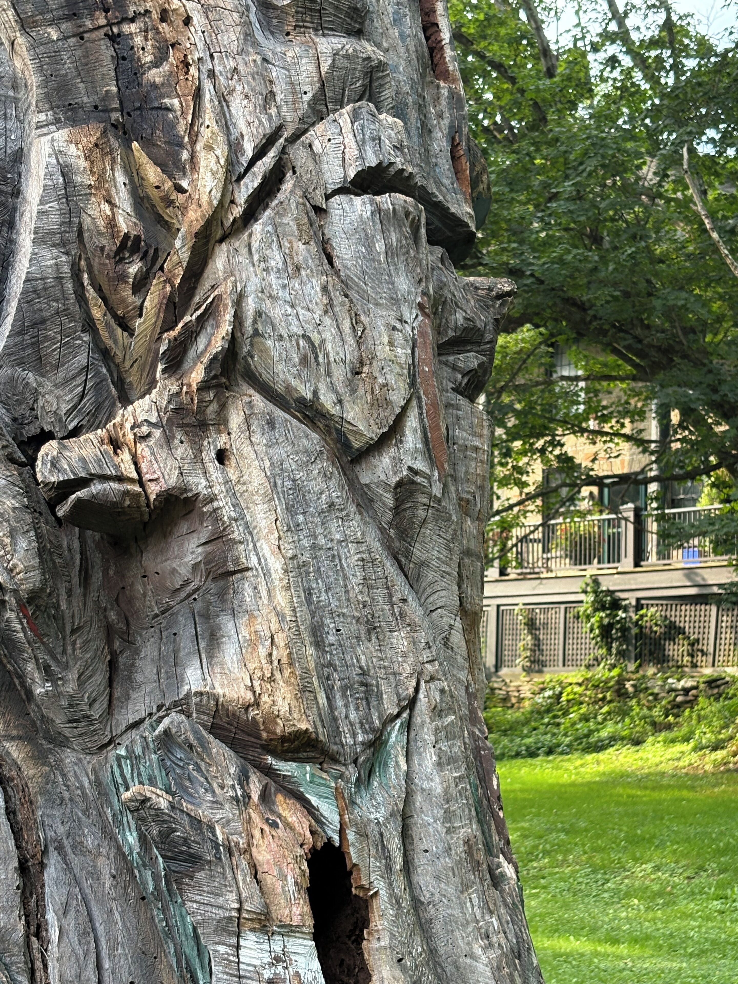 Un tronc d’arbre présentant de profondes rainures et une partie creuse.
