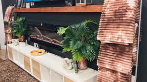 Un soggiorno moderno con una televisione a schermo piatto montata su una parete scura, un tavolino consolle in legno con oggetti decorativi, un caminetto e un'ampia pianta in vaso.
