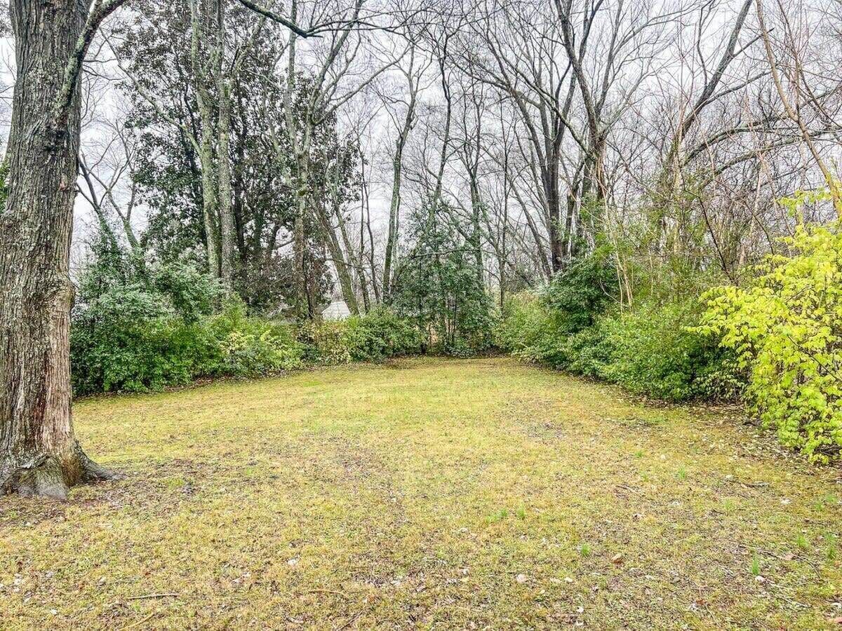 A grassy yard with trees and bushes.