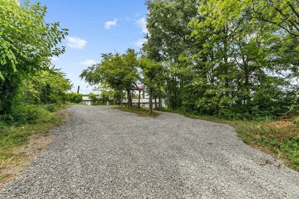 A gravel path leading through a wooded area with trees and a small structure in the distance.