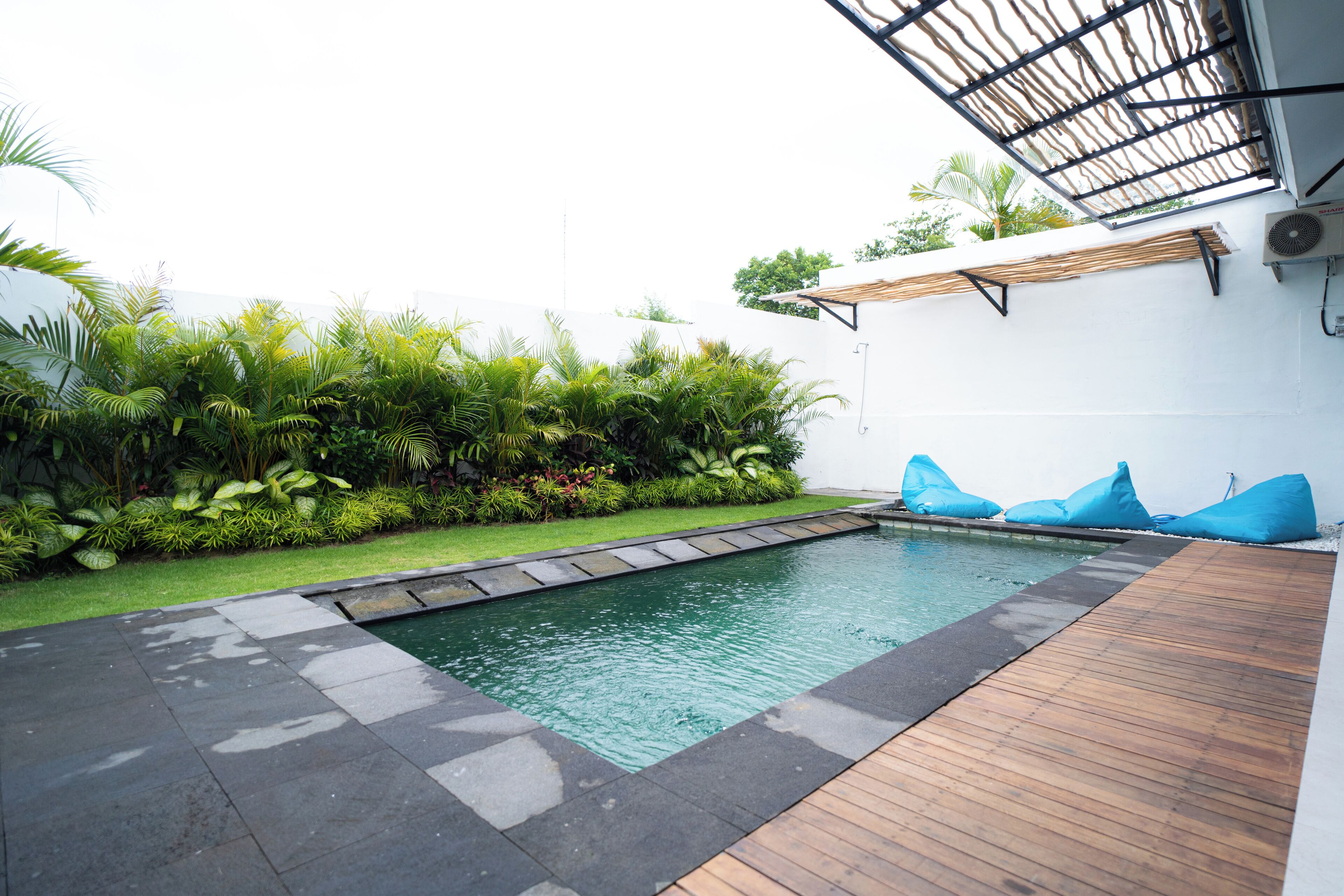A swimming pool with a wooden deck, surrounded by lush greenery and a white wall.