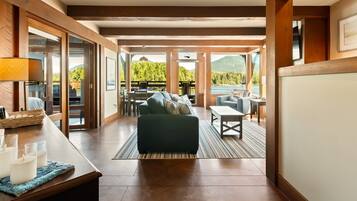 TV connectée, cheminée, livres